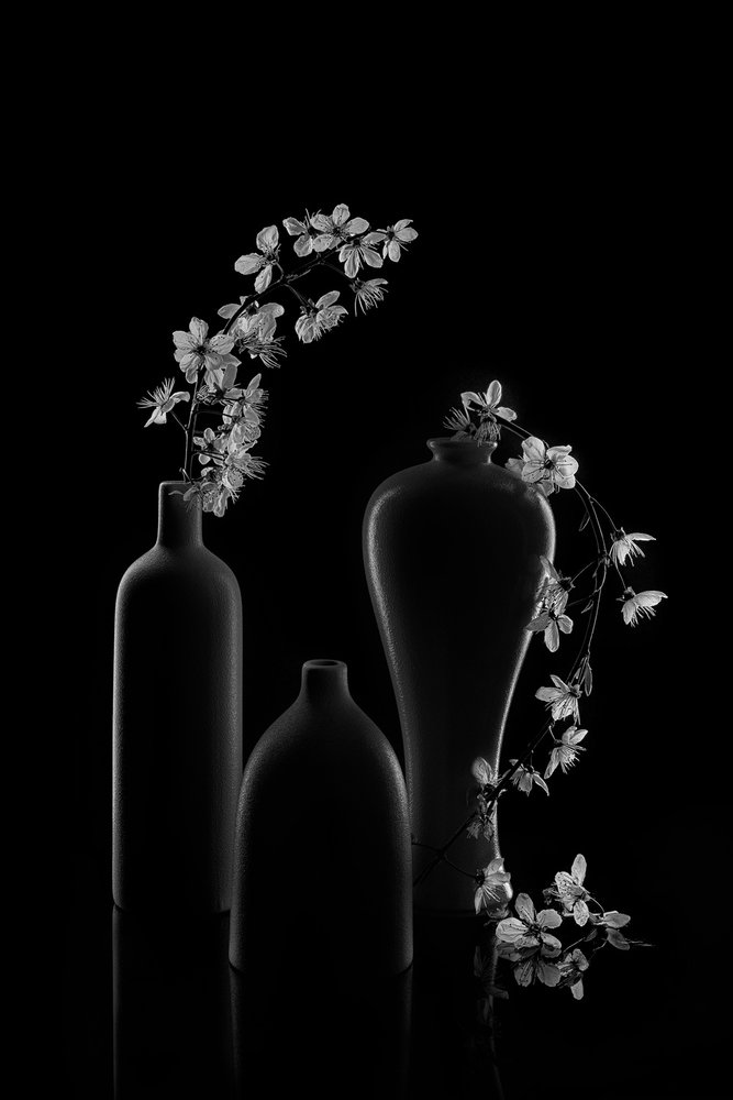 Gelassene Blumenanordnung von Lydia Jacobs