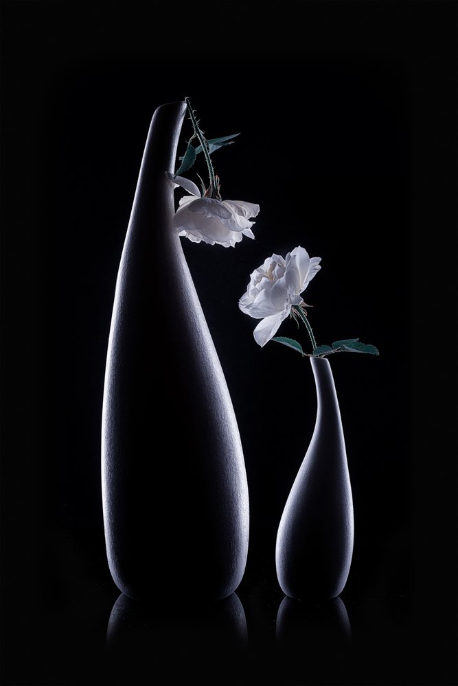 Schattenvasen Weiße Rosen von Lydia Jacobs