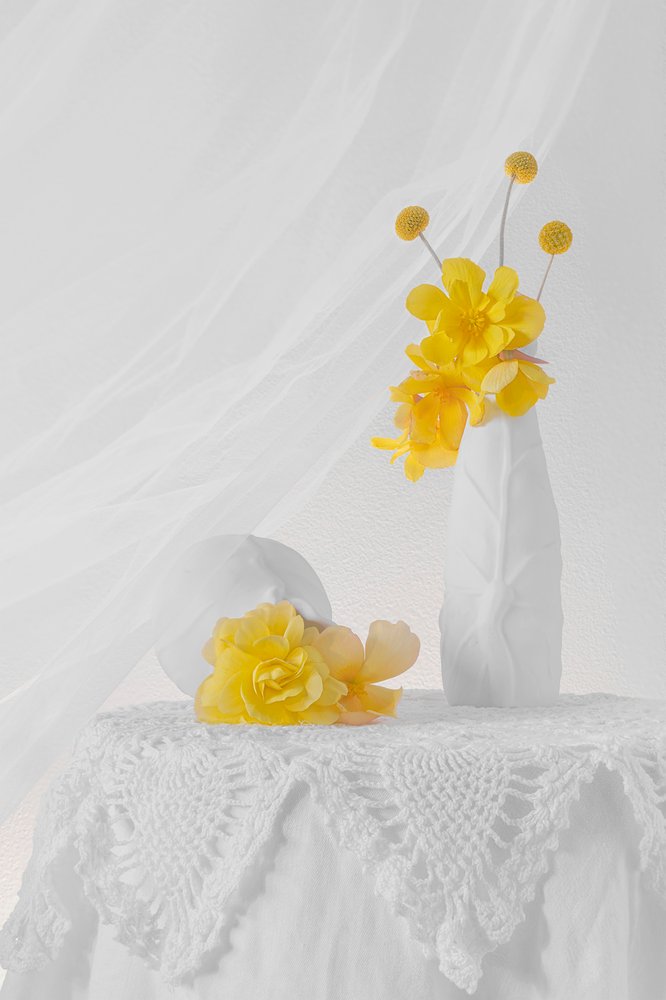 Weiches Gelbes Blumenstillleben von Lydia Jacobs