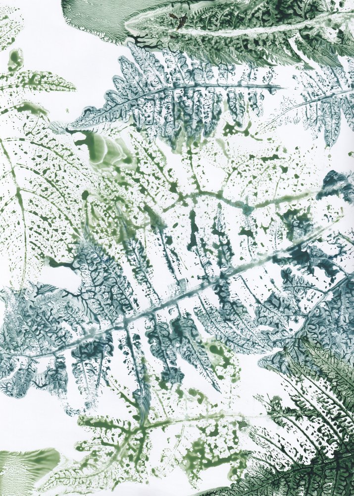 Botanische Farnimpressionen von Maira Ribena