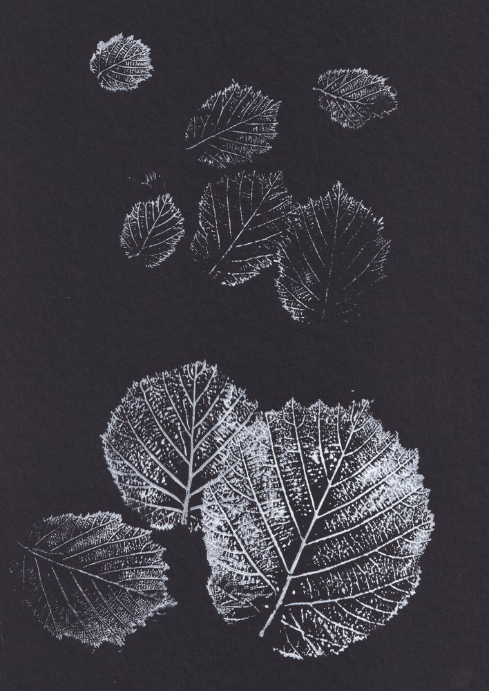 Botanische Blattdrucke von Maira Ribena