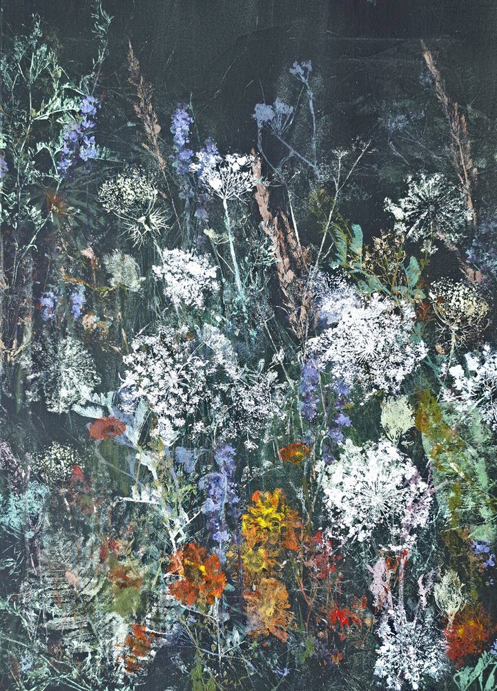Mitternachts-Wildblumenblüte von Maira Ribena