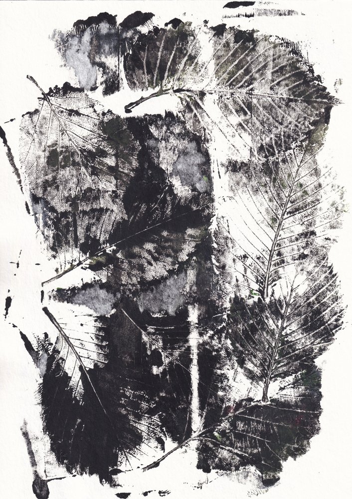 Monochrome Botanische Impressionen von Maira Ribena