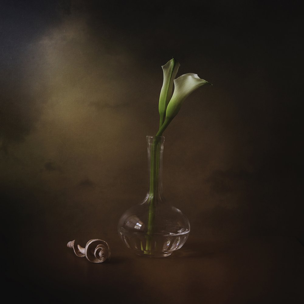Elegante Calla-Lilien von Margaret Halaby
