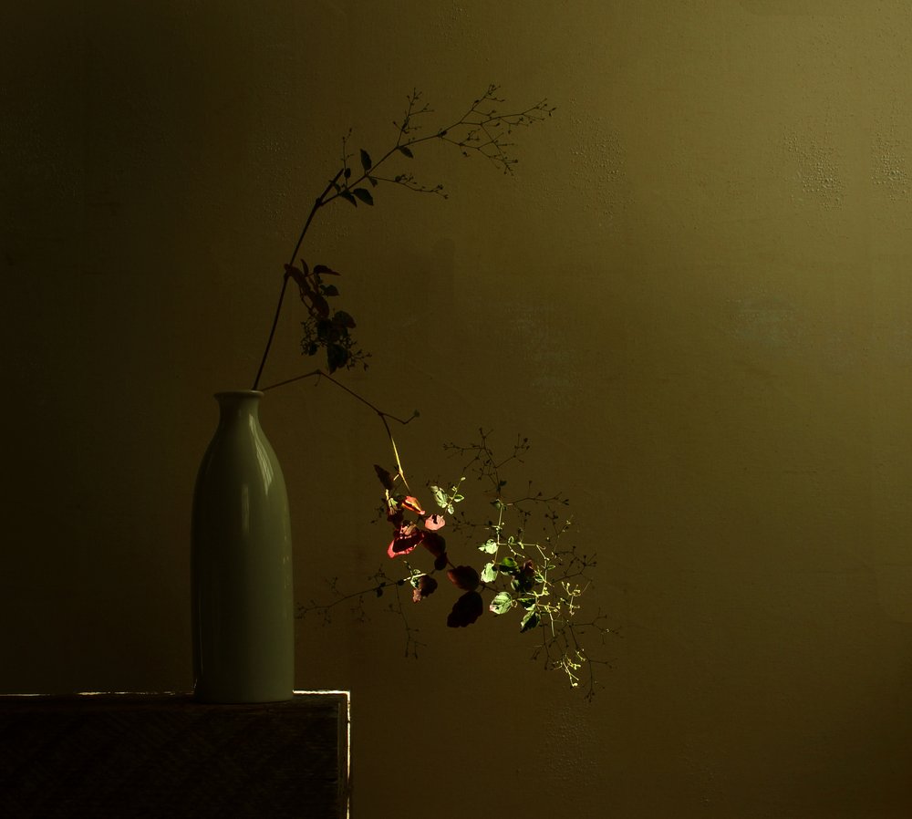 Stimmungsvolles botanisches Stillleben von Margaret Halaby