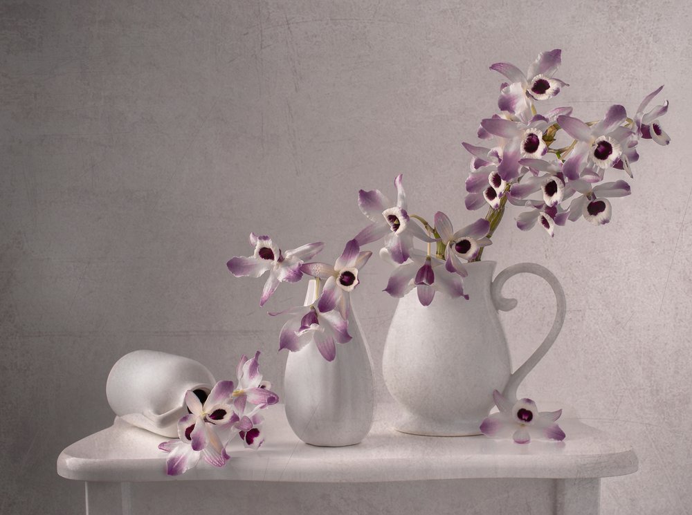 Zartes Orchideen Stillleben von Margareth Perfoncio