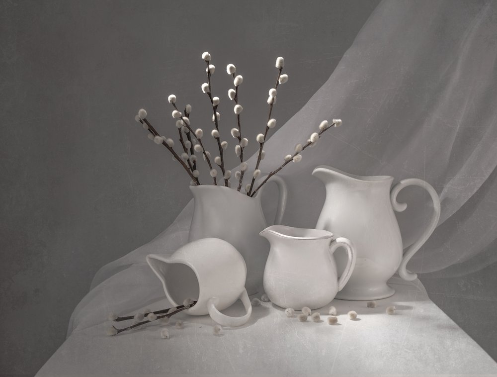 Frühlingsweidenkrüge von Margareth Perfoncio