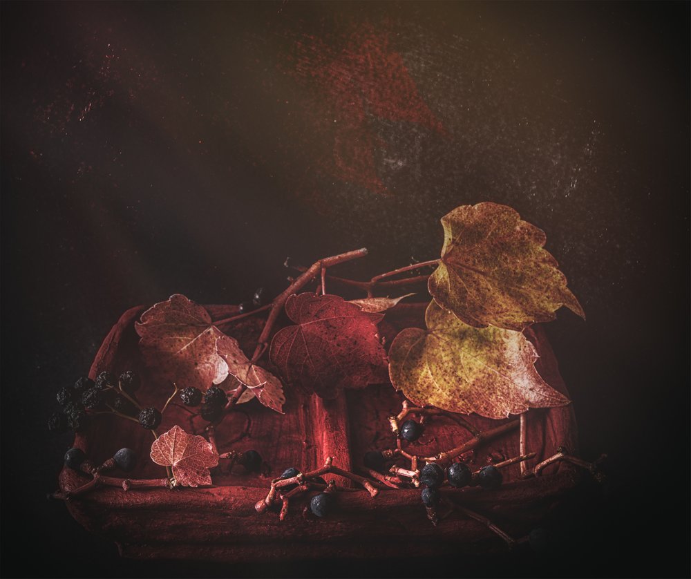 Stimmungsvolle Herbstblätter von Marie-anne Stas