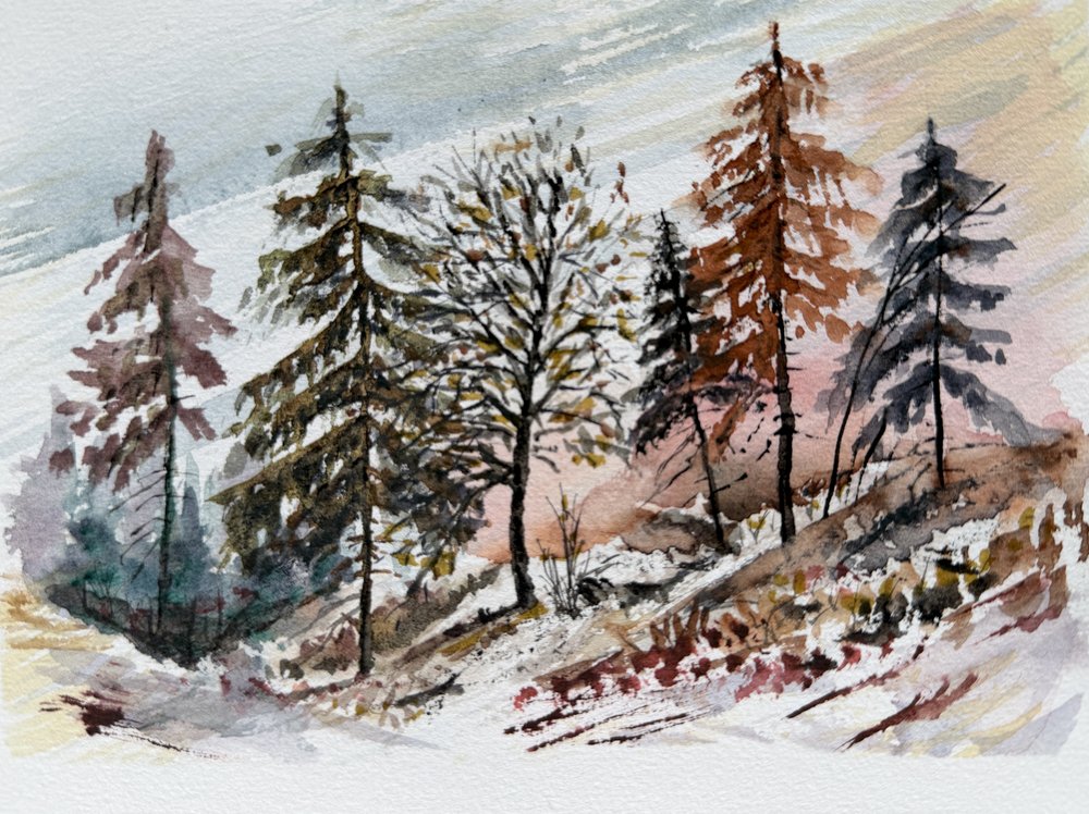 Morgendämmerung im verschneiten Wald von Marina Kozyr