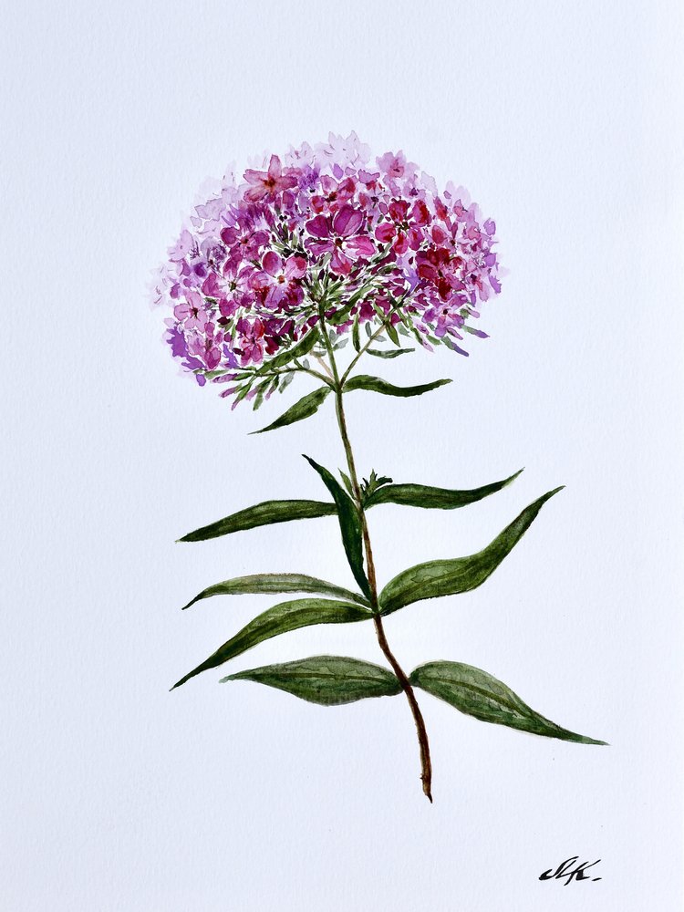 Leuchtende botanische Blüte von Marina Kozyr