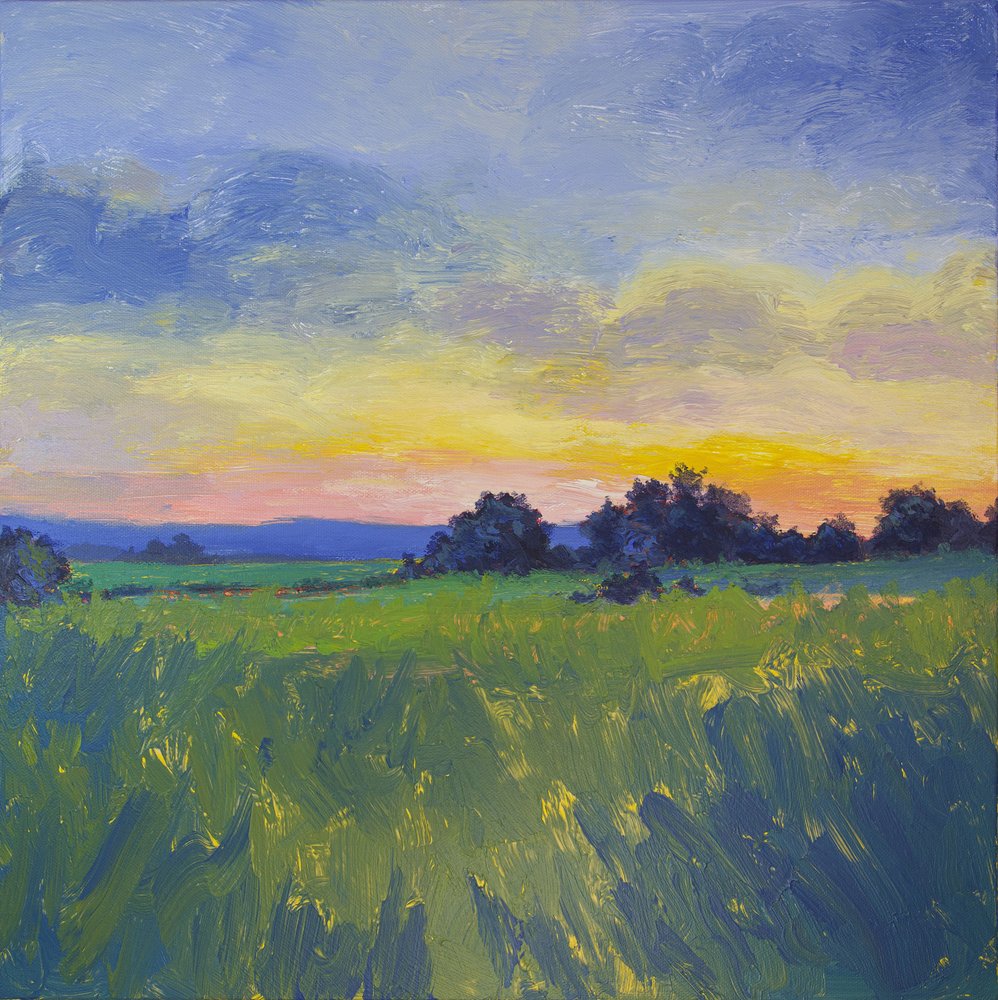 Lebendiger Feldsonnenuntergang von Matt Dominger