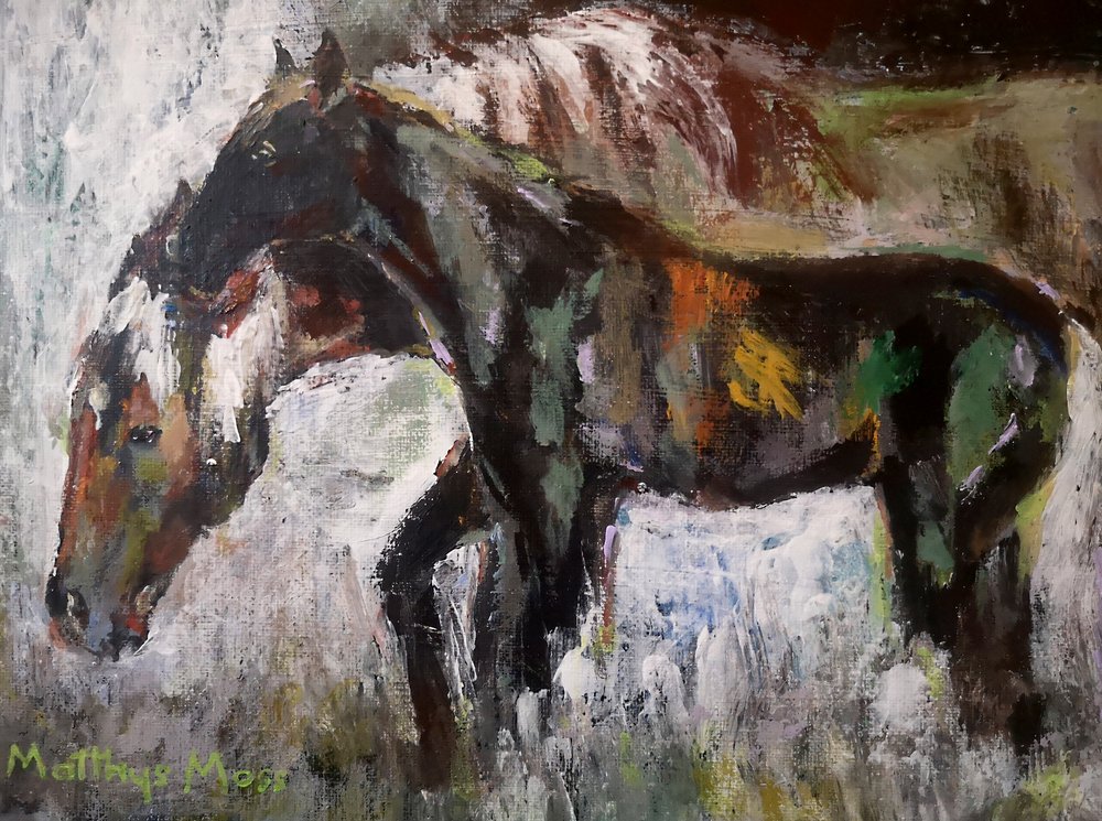 Bunte Wildpferde von Matthys Moss