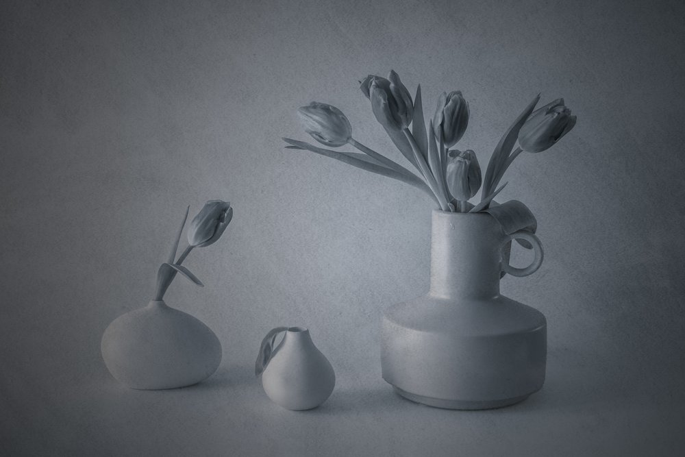 Stimmungsvolles Stillleben mit Tulpen von May G