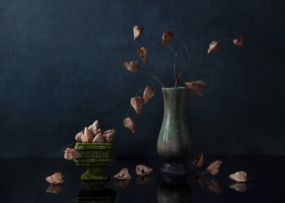 Dunkles botanisches Stillleben von Ming Chen
