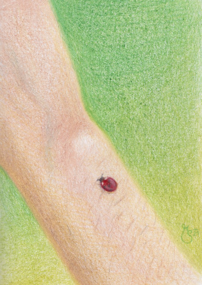 Sanfter Marienkäfer auf Arm von Mirjam Schrei