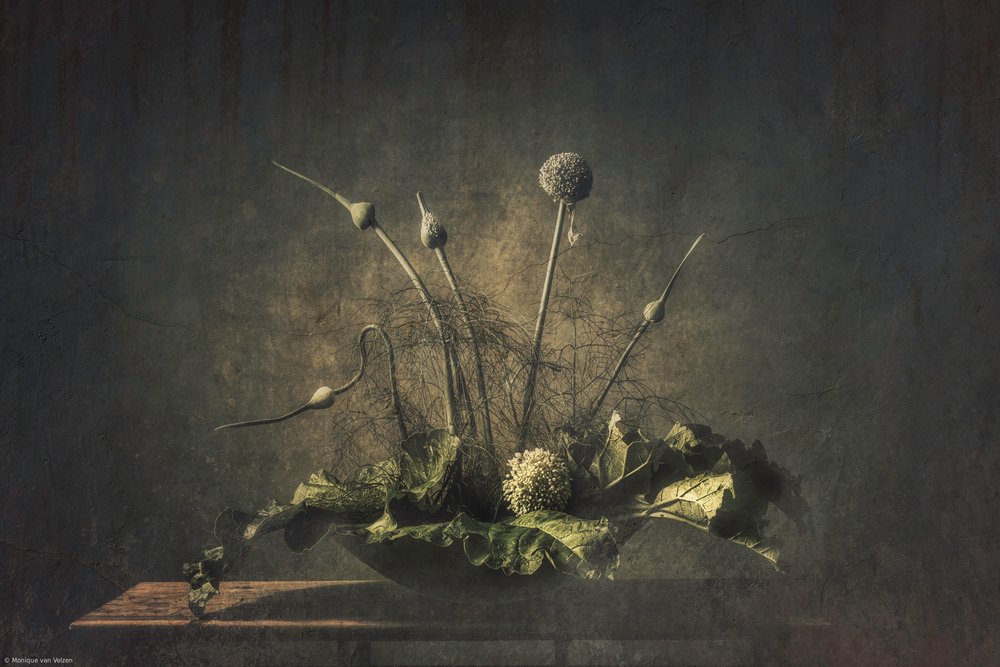 Dunkles botanisches Stillleben von Monique van Velzen