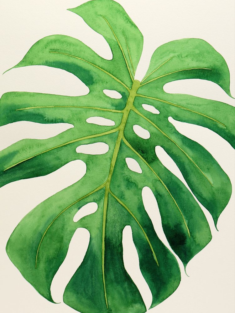 Tropisches Monstera-Blatt von Natalie Bruns