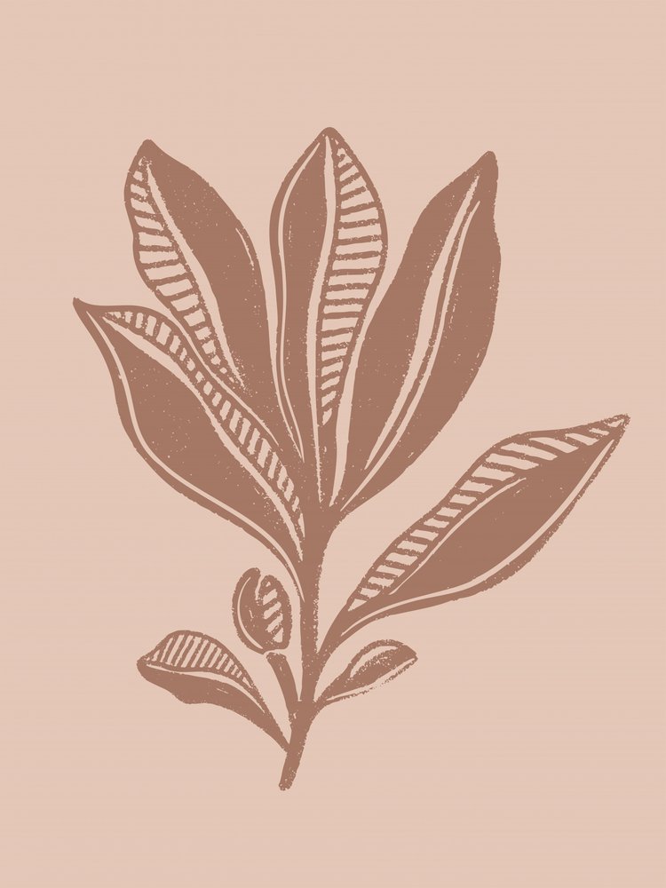 Natürliche botanische Zeichnung von Nikita Jariwala