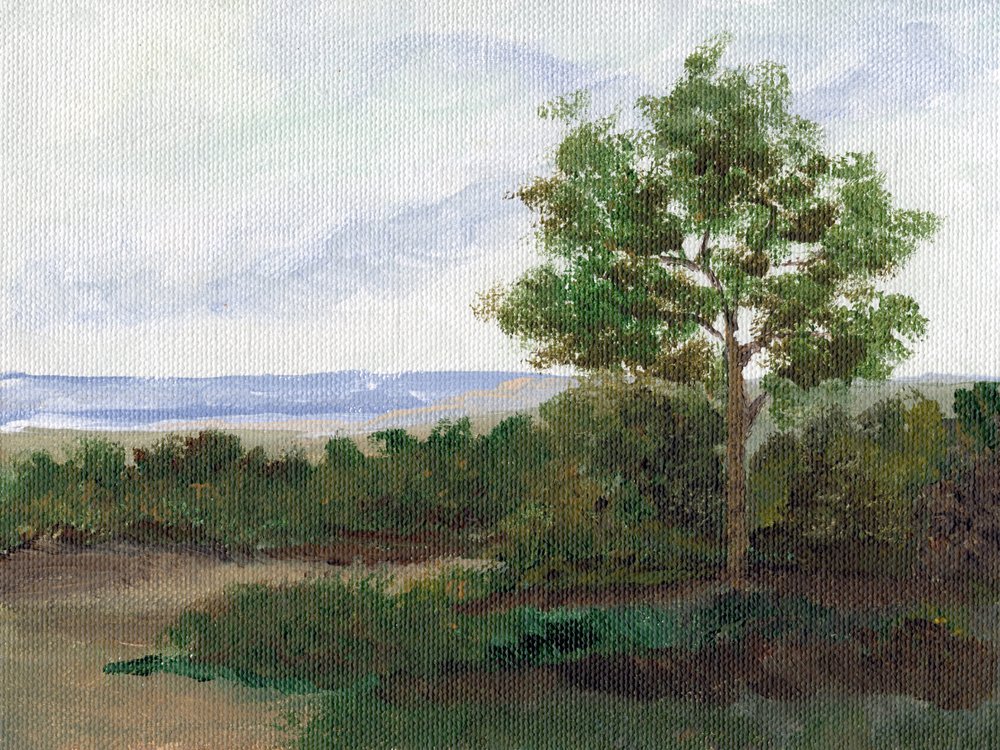 Ruhiger Landweg von Nikita Jariwala