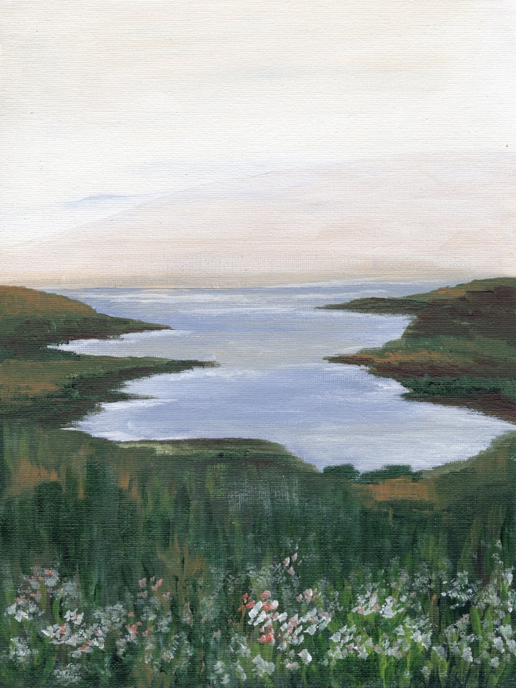 Wildblumen-Küstenblick von Nikita Jariwala