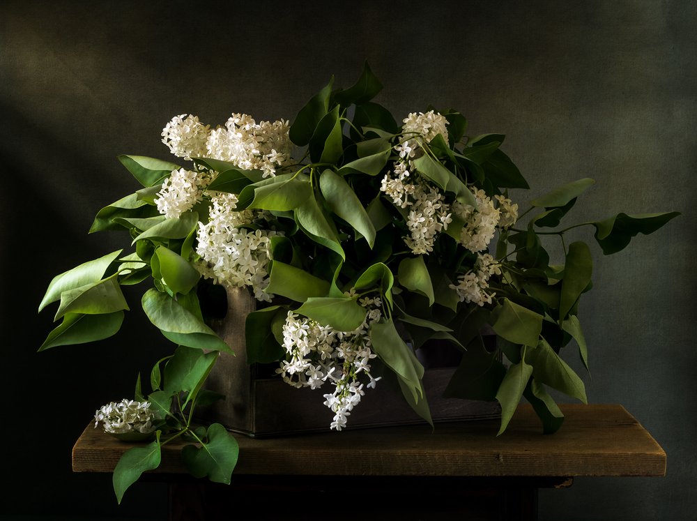 Stimmungsvolles Fliederbouquet von Olga Aleksandrovna