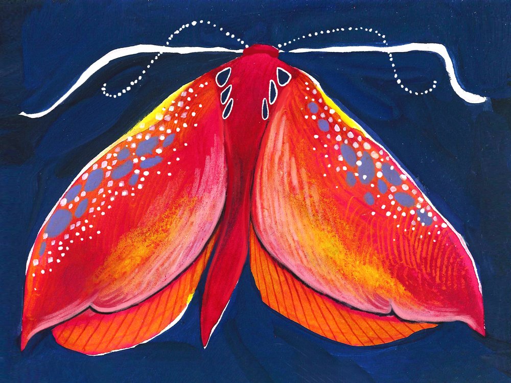 Bunte Nachtmotte von Olga Skomorokhova