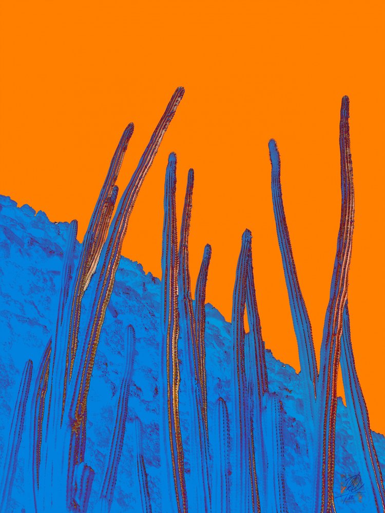 Blaue Kakteen, orangefarbener Himmel von Osvaldo Russo