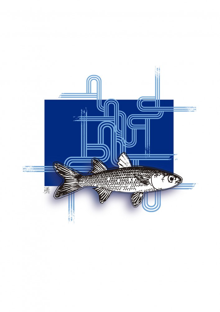 Blauer Geometrischer Fisch von Osvaldo Russo