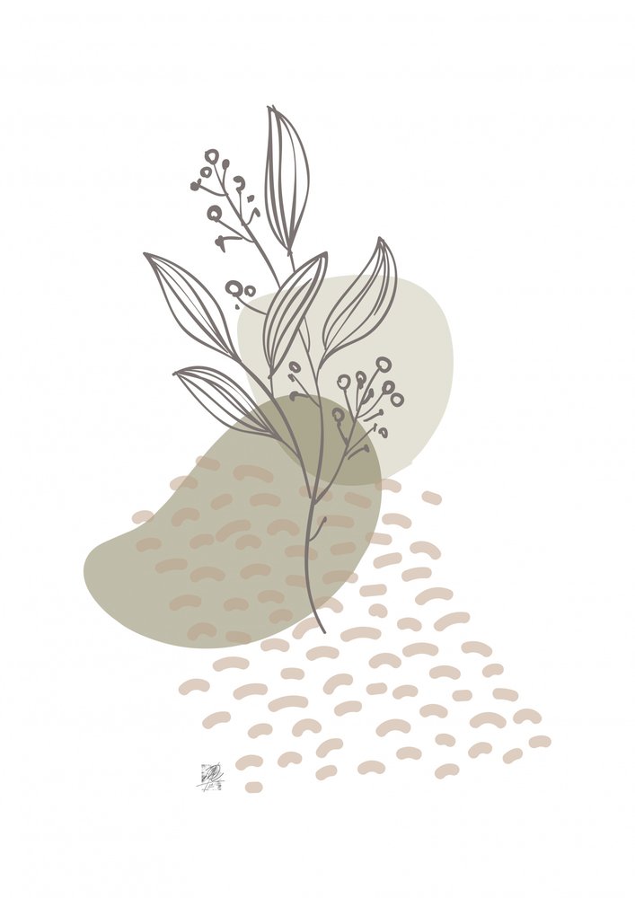 Botanische Linienstudie von Osvaldo Russo