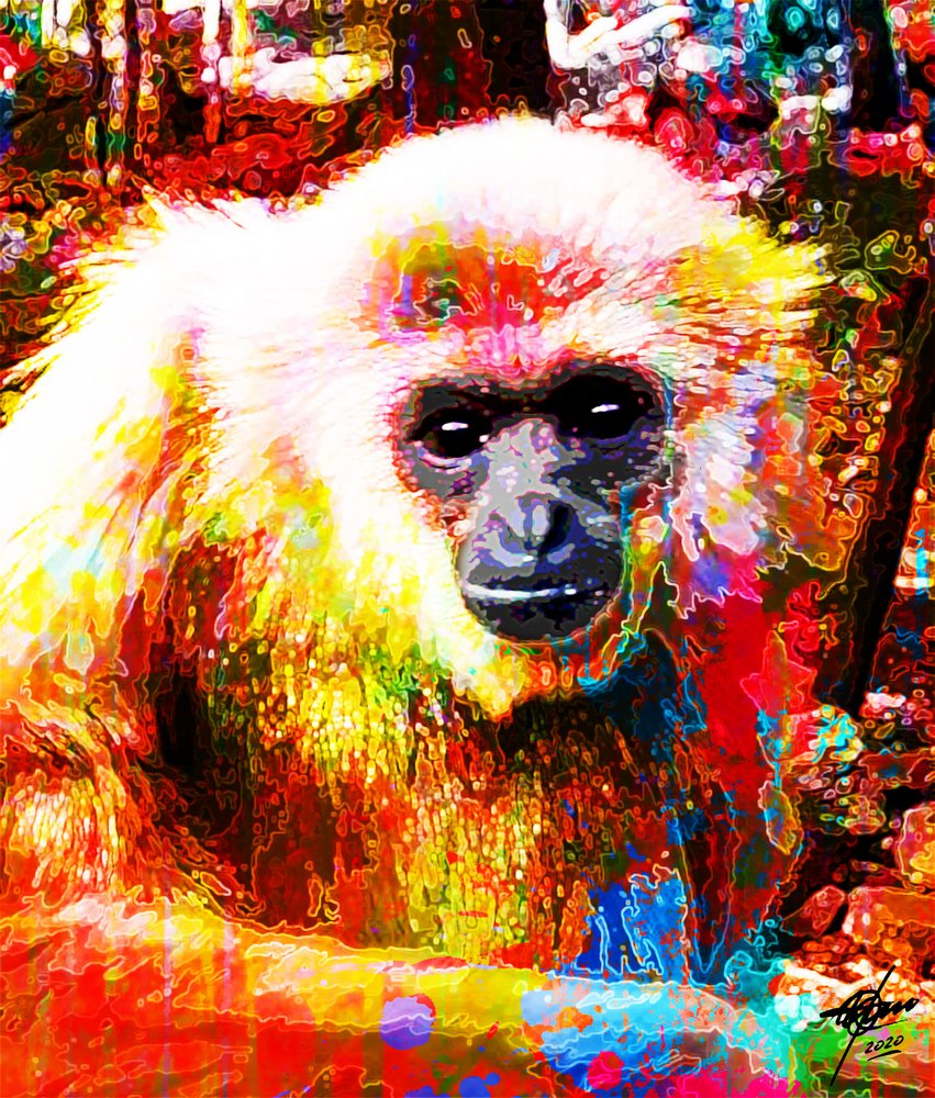 Lebendiges Gibbon-Porträt von Osvaldo Russo