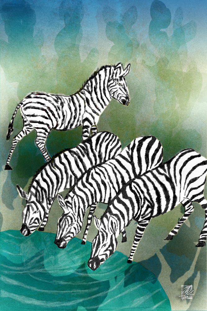 Zebras am Wasserloch von Osvaldo Russo