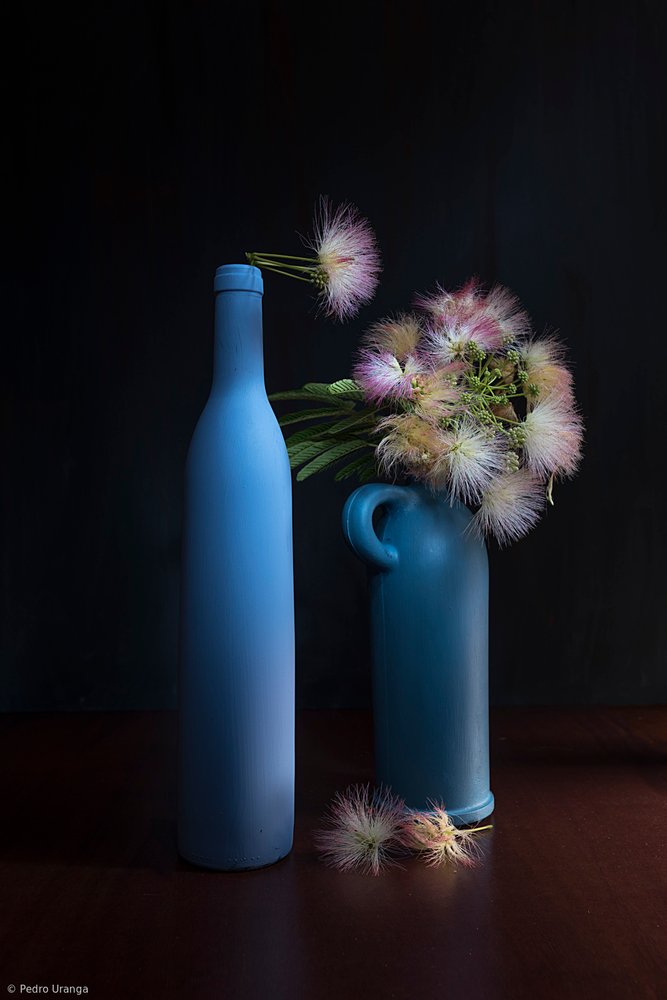Botanische Blautöne und Rosa von Pedro Uranga