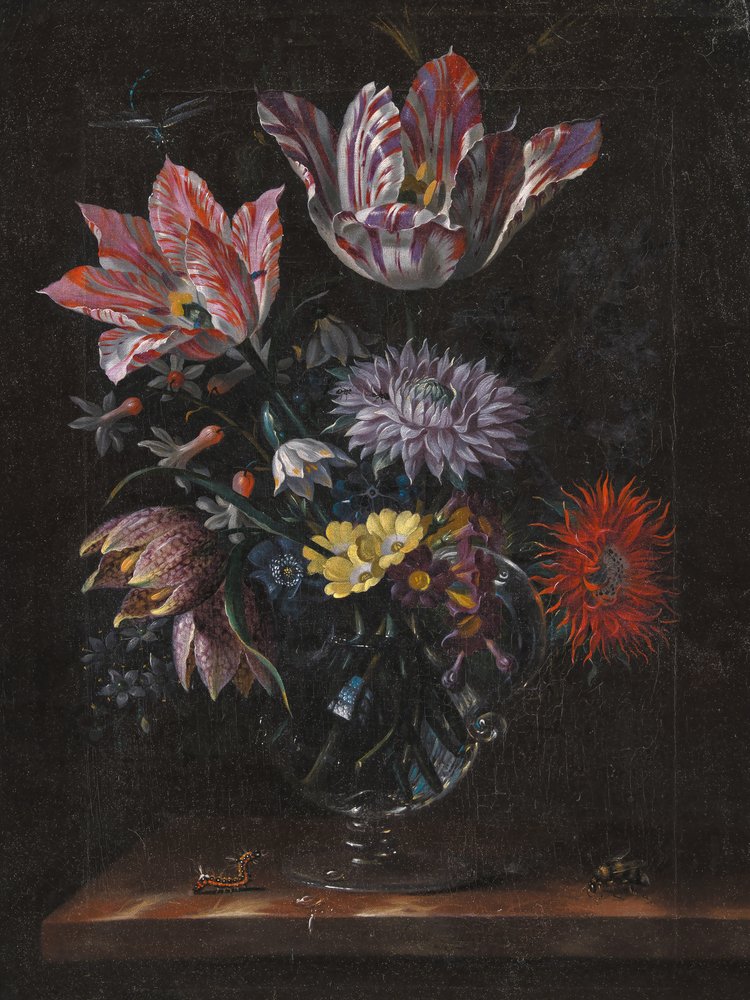 Unbekannt von Jacob Marrel von Pictufy
