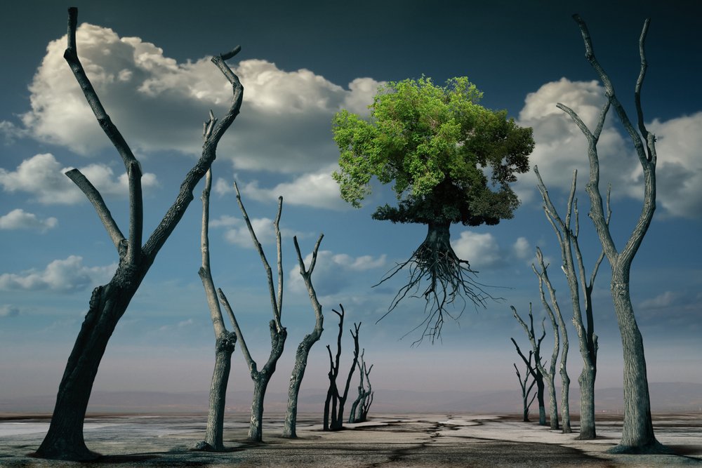 Surrealer schwebender Baum von Radoslav Penchev