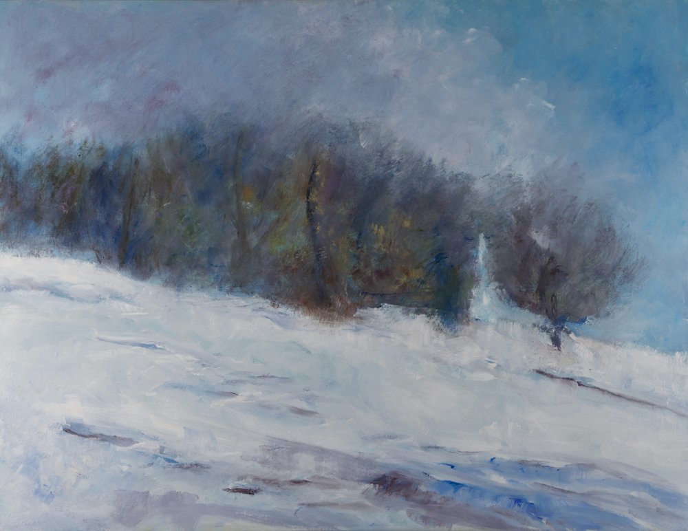 Verschneiter Winterwald von Richard Gombar