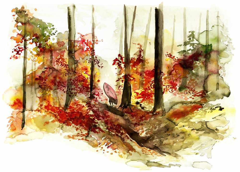 Herbstwald Surf-Reise von RodMacIver