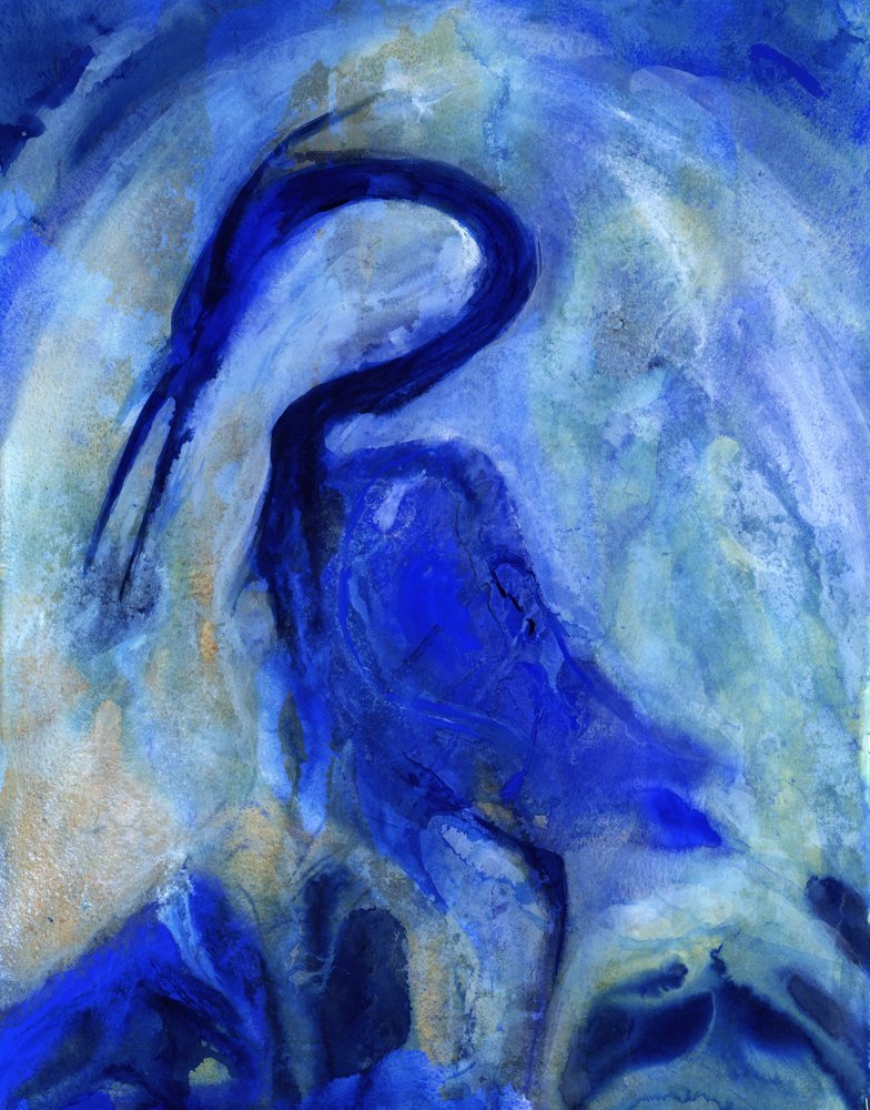 Eleganter Blauer Reiher von RodMacIver