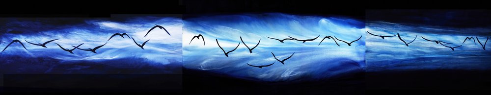 Schwarm über ätherischem Himmel von RodMacIver