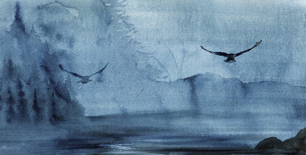 Nebelsee Flug von RodMacIver