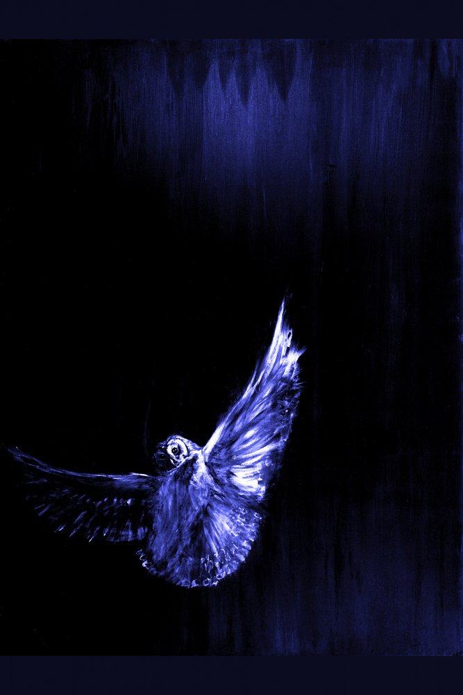 Mystischer blauer Eulenflug von RodMacIver