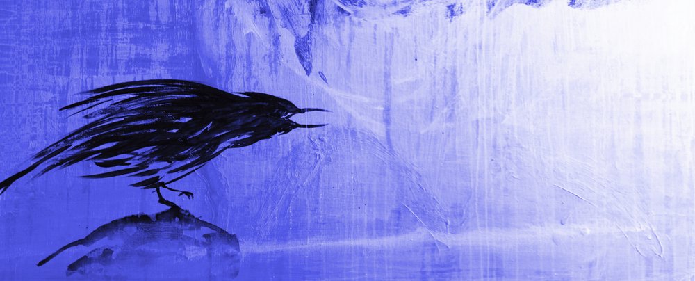 Einsamer blauer Rabe von RodMacIver