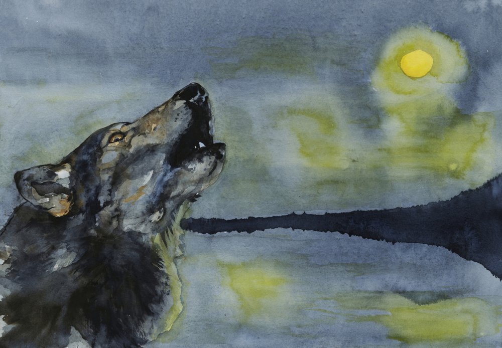 Wolf heult zum Mond von RodMacIver