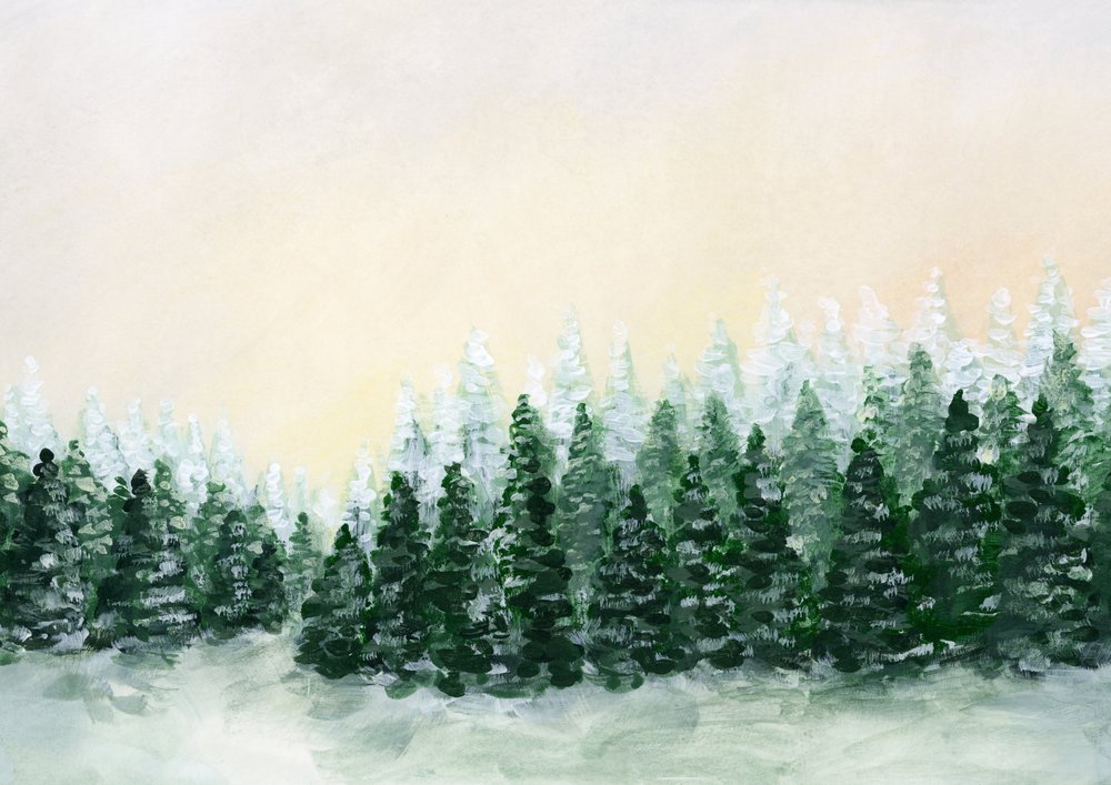 Vereister Winterwald von Rosana Laiz Blursbyai