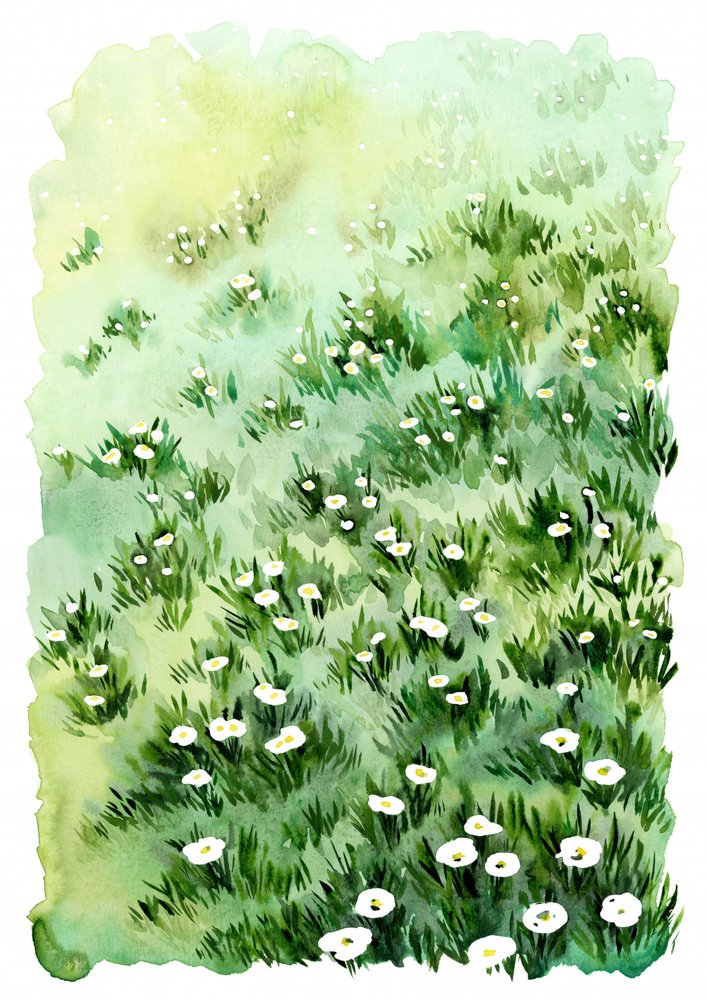 Grüne Wiesenblumen von Rosana Laiz Blursbyai