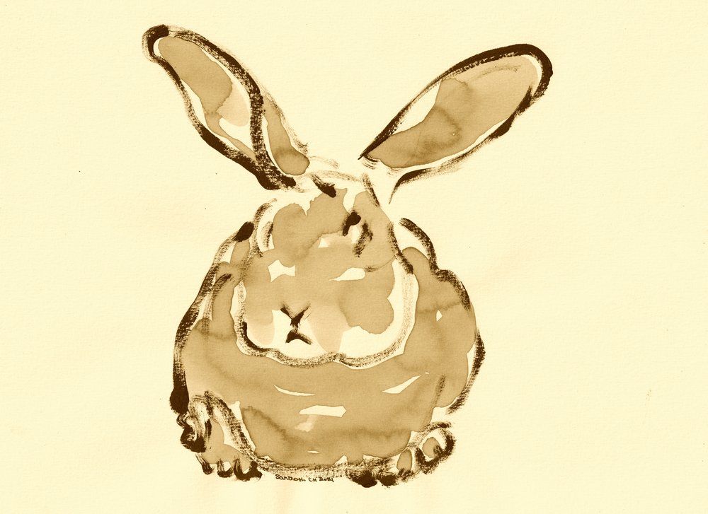 Niedliches Aquarellkaninchen von Santhosh ch