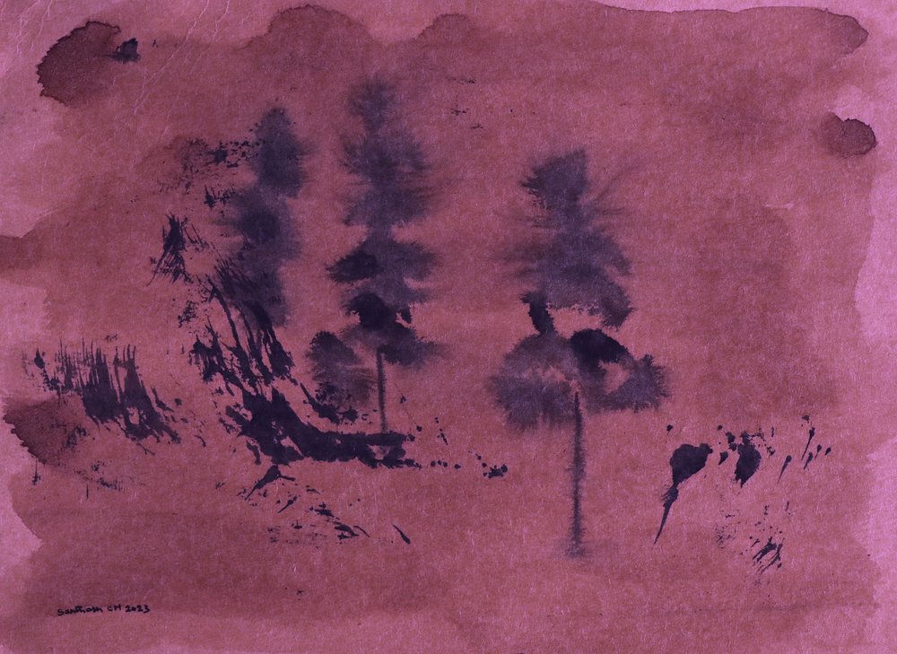 Dunkle Waldlandschaft von Santhosh ch