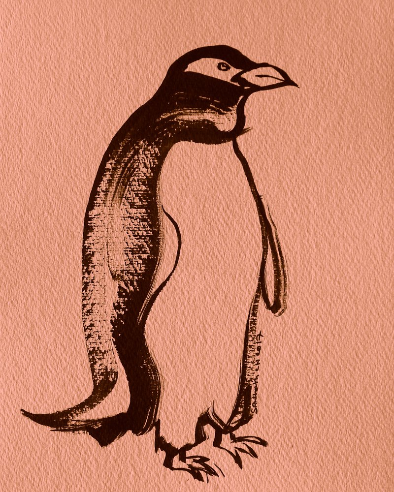 Eleganter Tintenpinguin von Santhosh ch