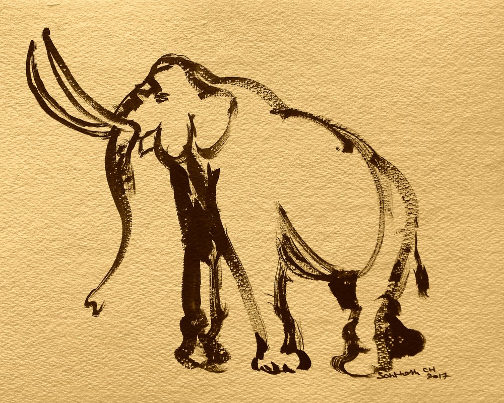 Majestätische Elefant Skizze von Santhosh ch