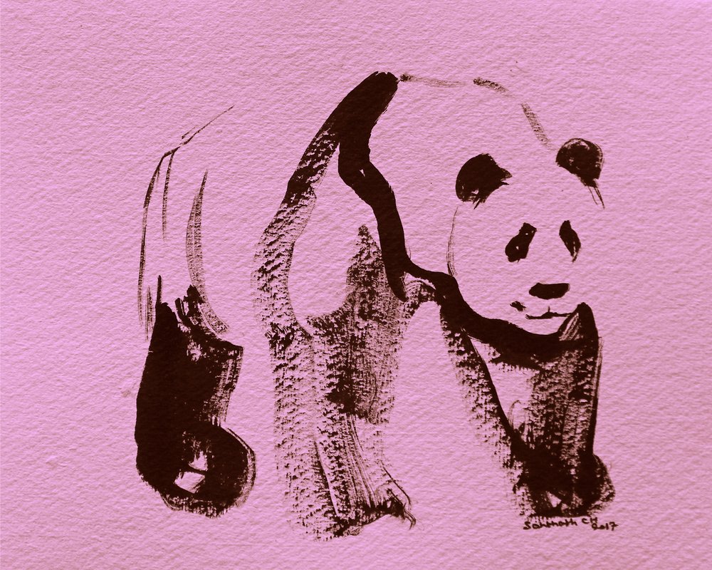 Rosa Panda-Pinselstriche von Santhosh ch
