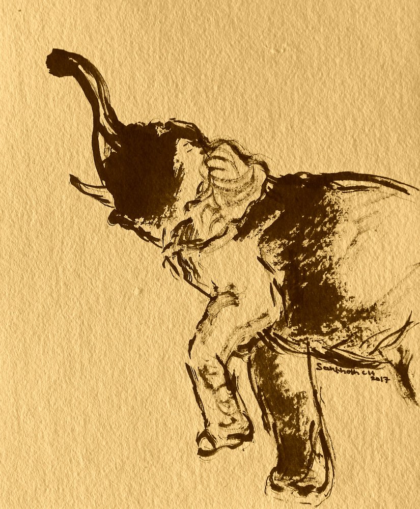 Verspielte Elefanten-Pose von Santhosh ch